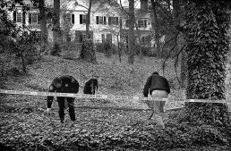 3-acre Search for Murder